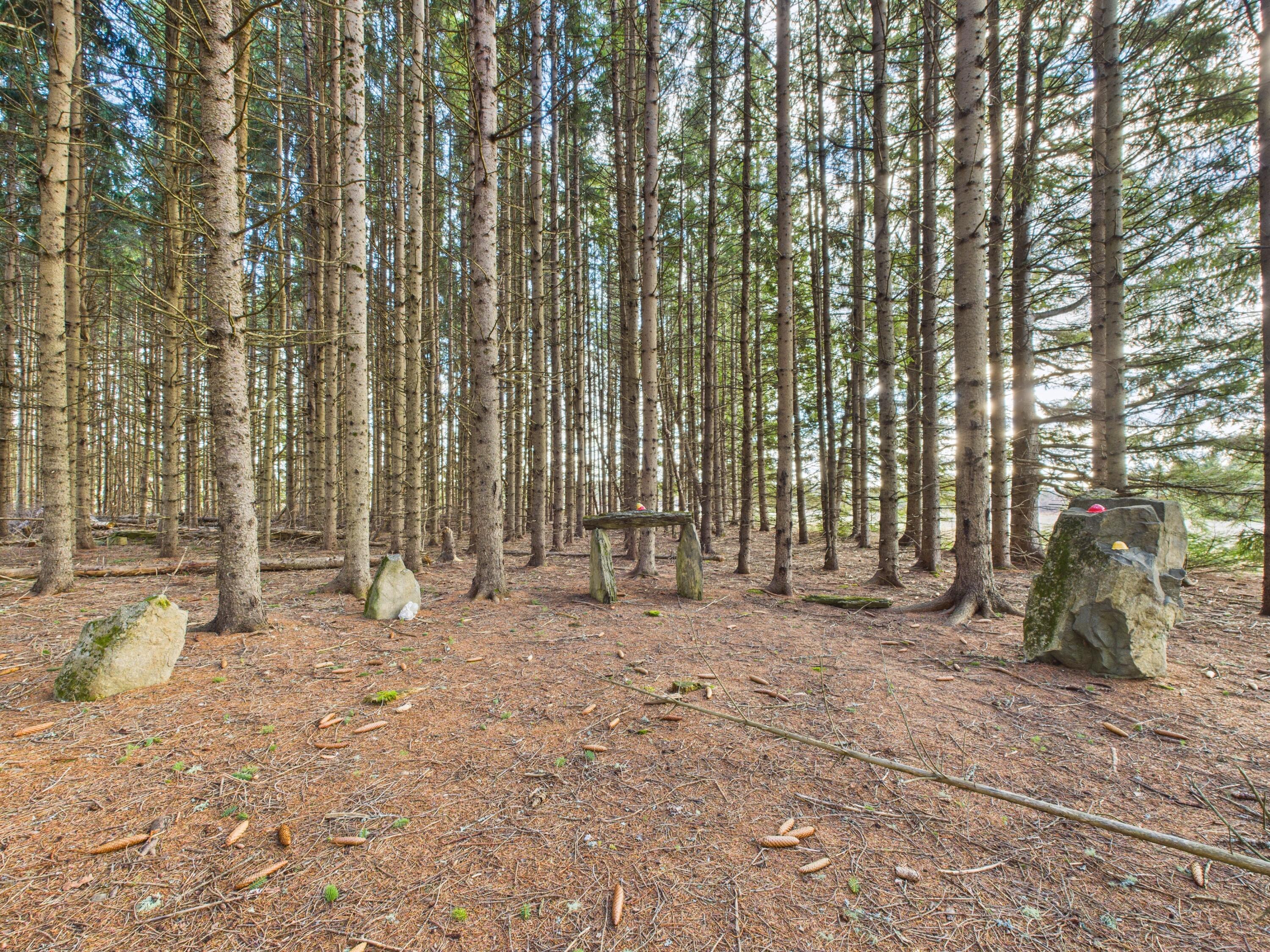 259 Old Washburn Road Caribou ME 04736