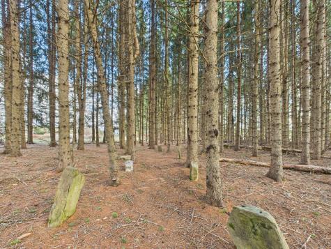 259 Old Washburn Road Caribou ME 04736