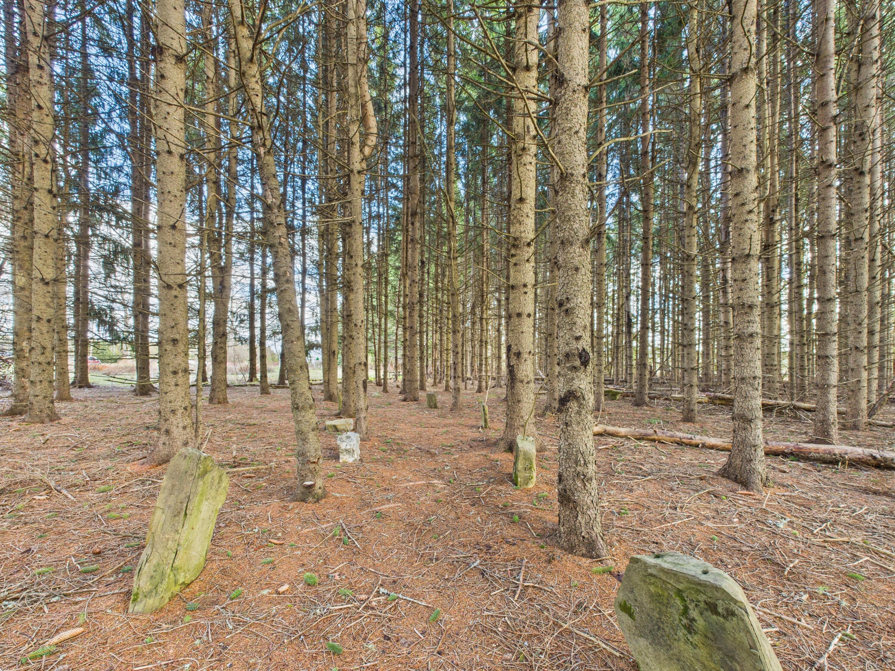 259 Old Washburn Road Caribou ME 04736