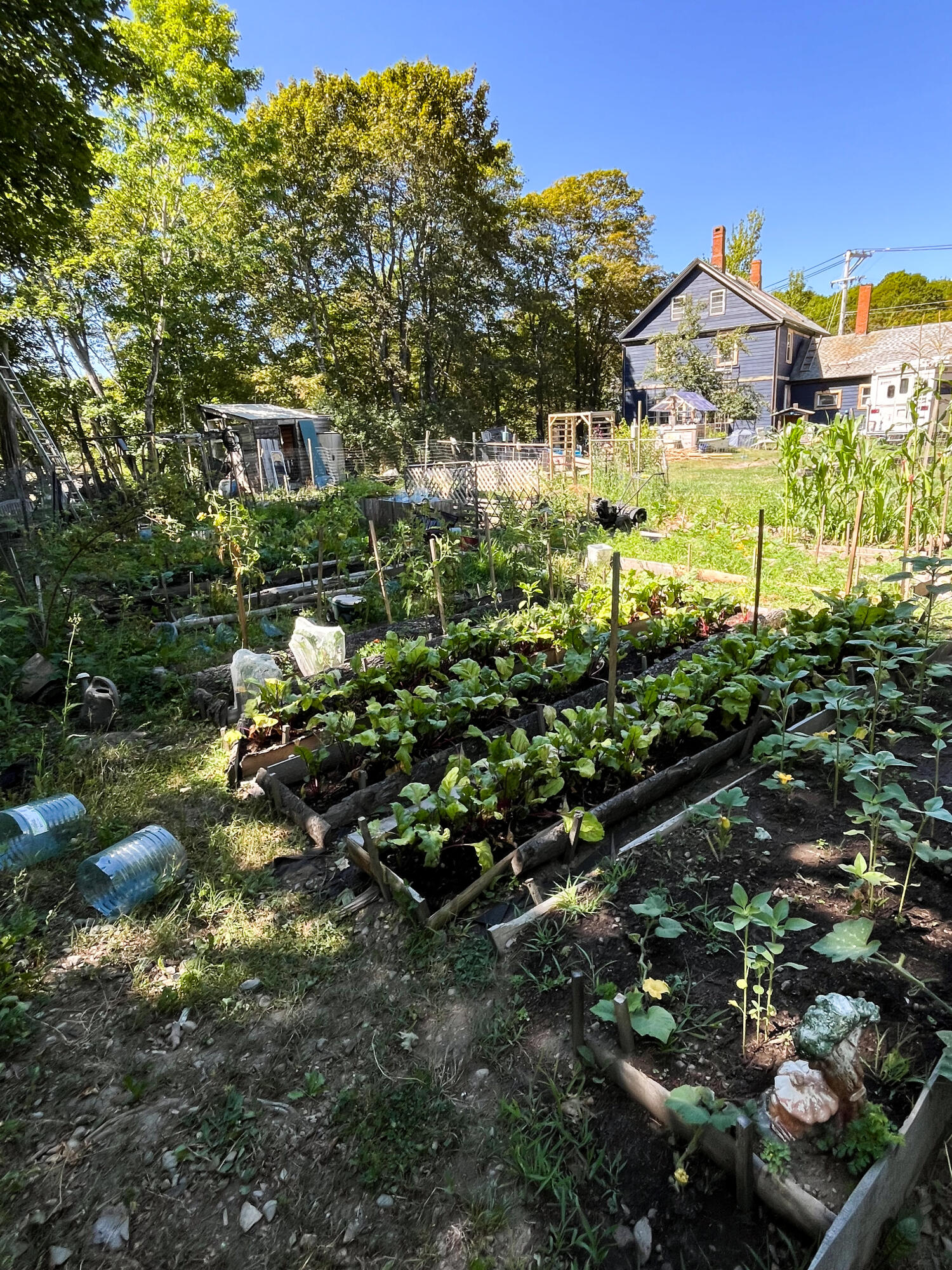 21 Jacksonville Road East Machias ME 04630