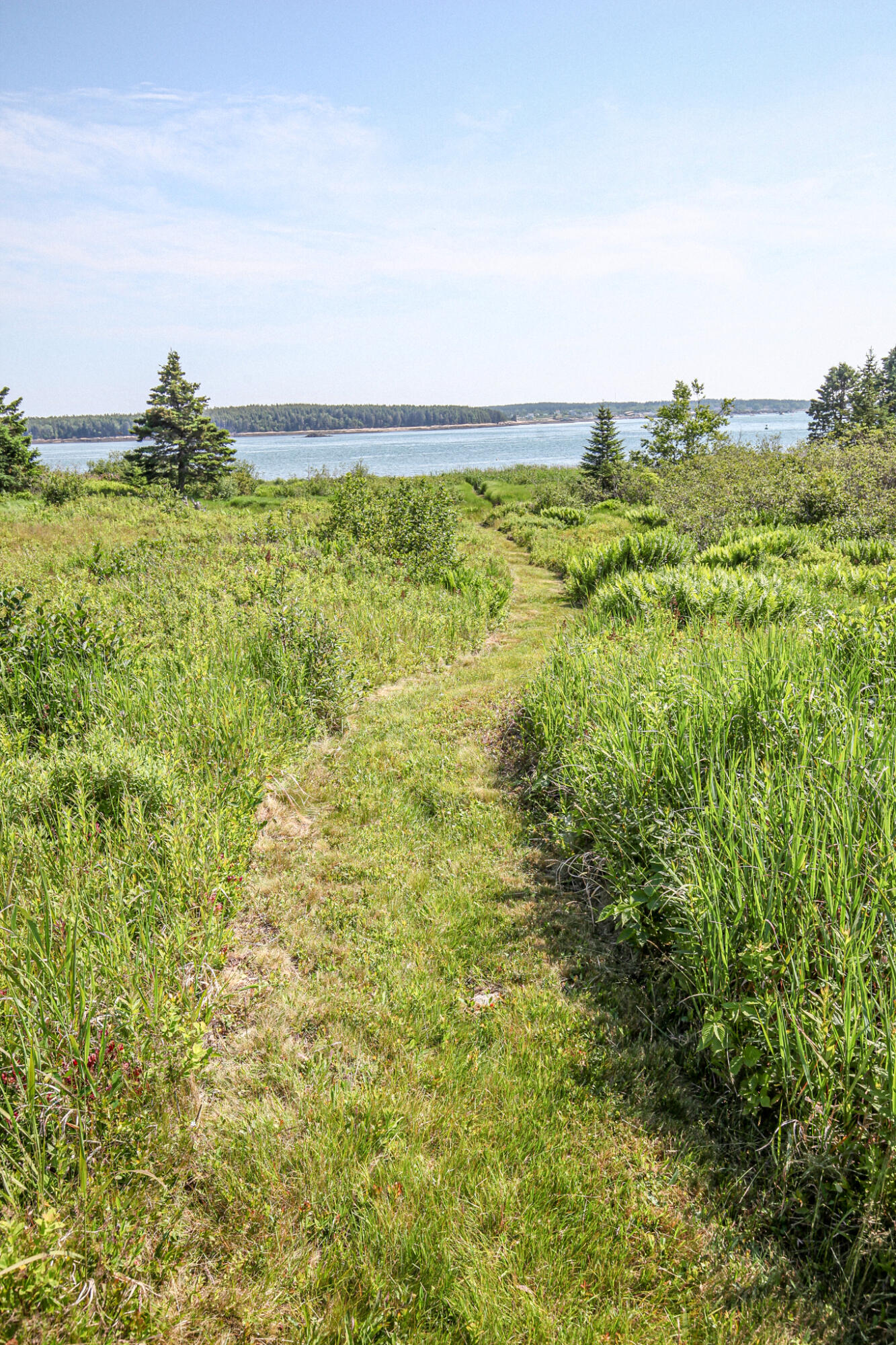 107 Kelley Point Road Jonesport ME 04649