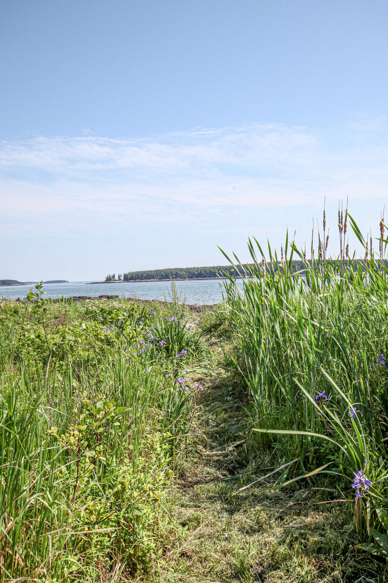 107 Kelley Point Road Jonesport ME 04649