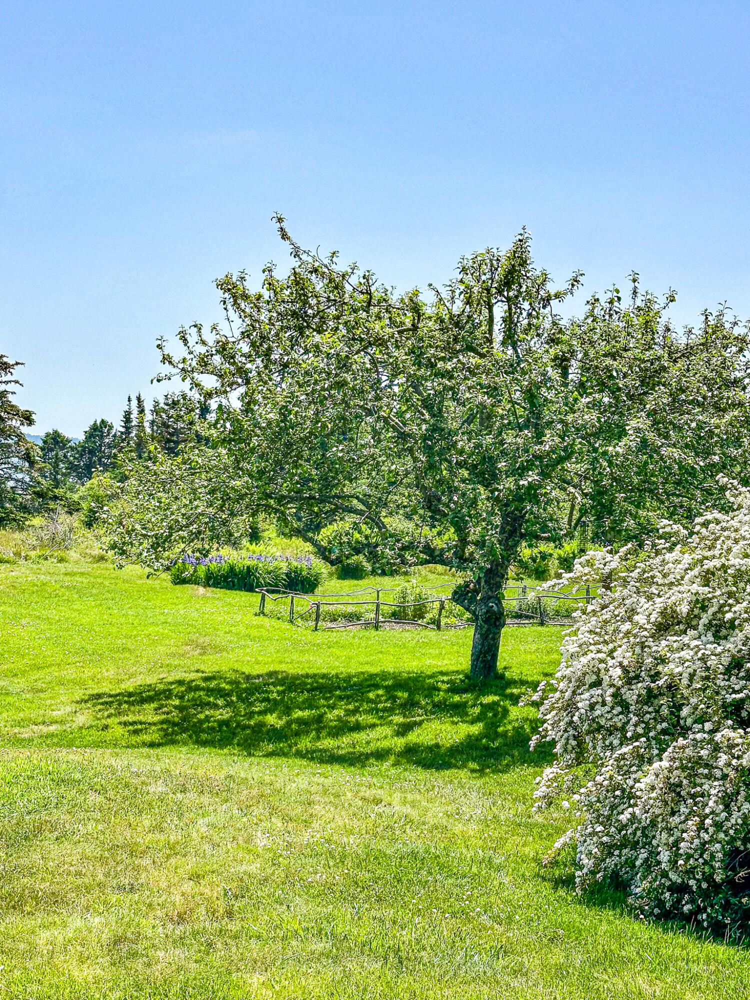 107 Kelley Point Road Jonesport ME 04649