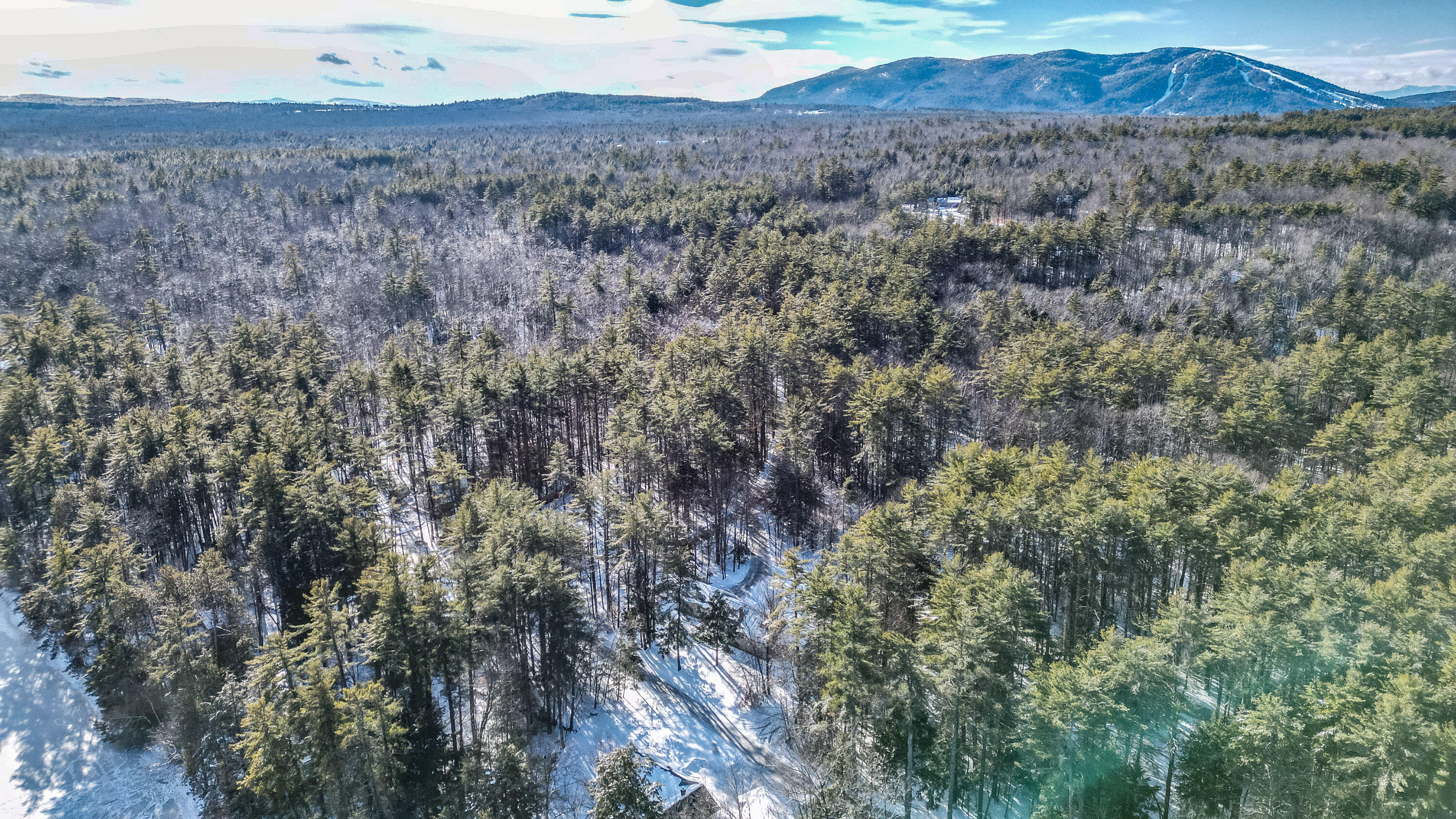 64 Christmas Tree Lane Bridgton ME 04009