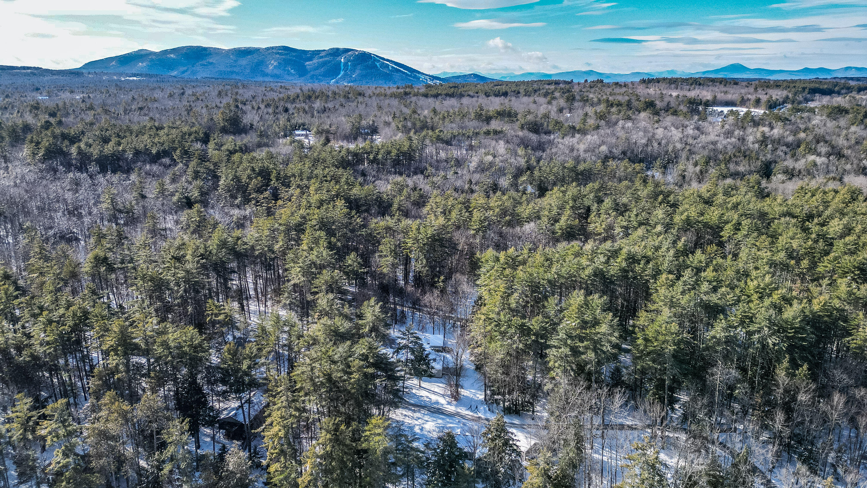 64 Christmas Tree Lane Bridgton ME 04009