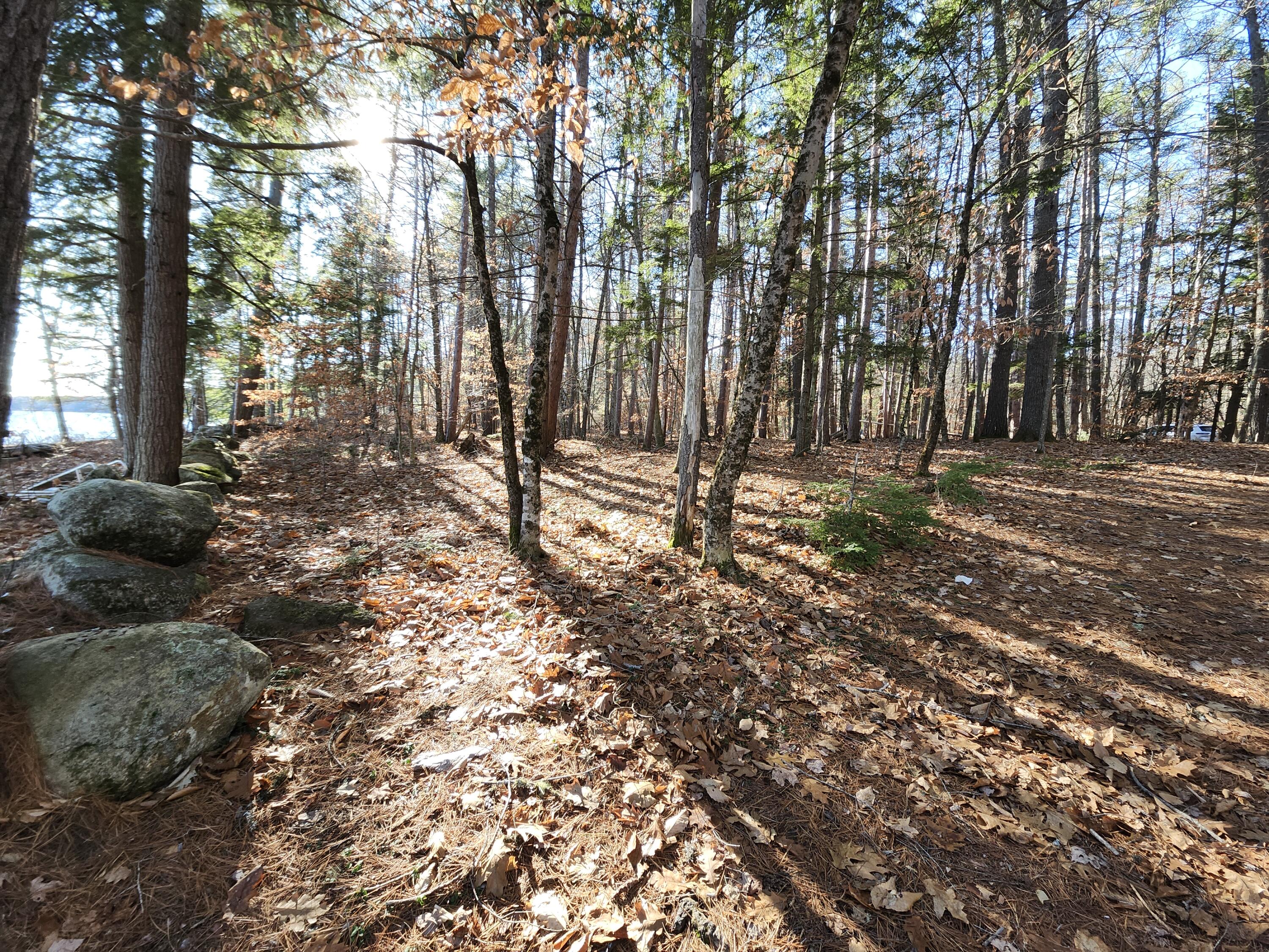 64 Christmas Tree Lane Bridgton ME 04009