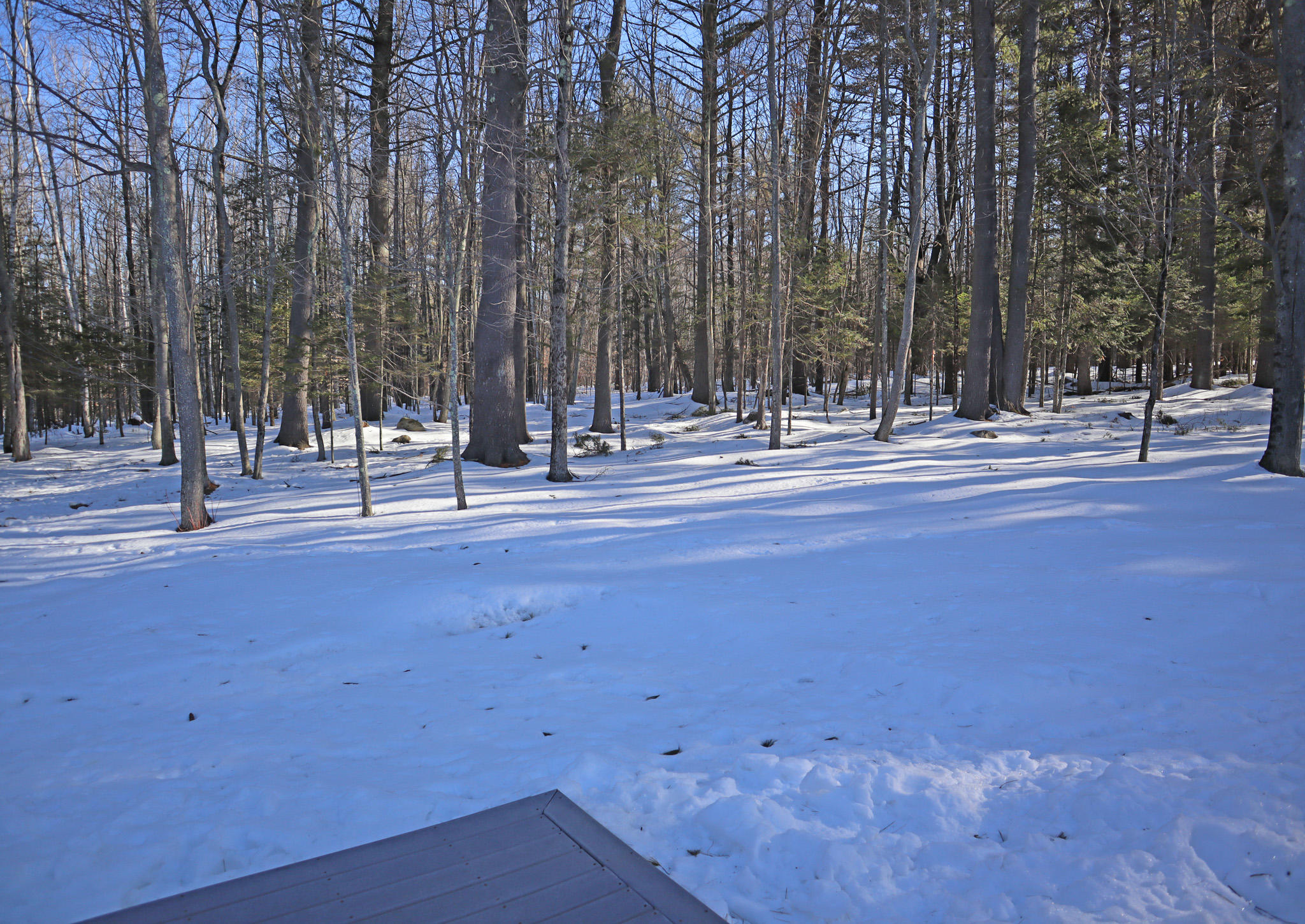 52 Wood Street Fairfield ME 04937