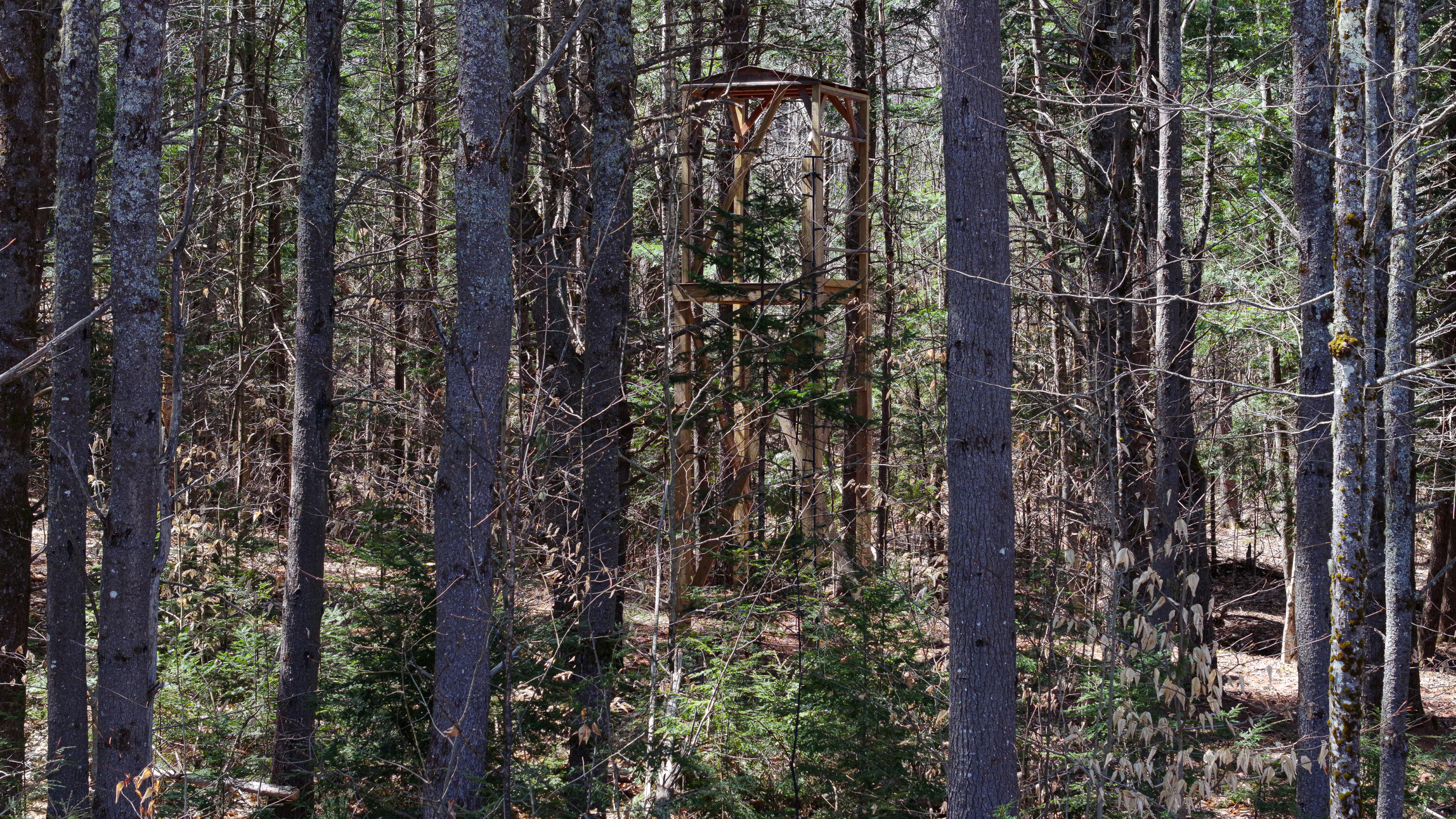 169 S Bridgton Road Bridgton ME 04009