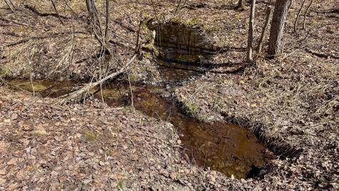 169 S Bridgton Road Bridgton ME 04009