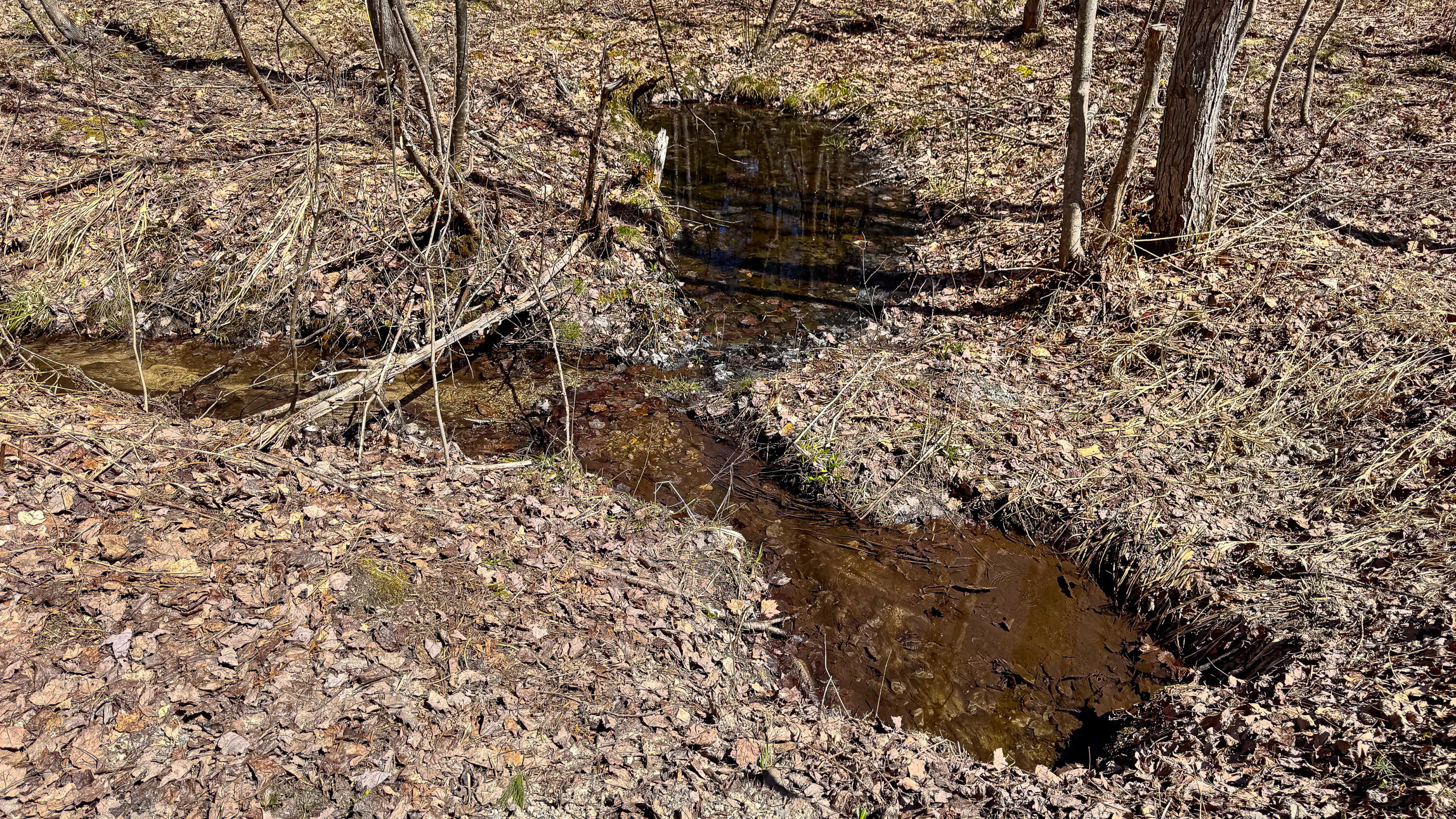 169 S Bridgton Road Bridgton ME 04009