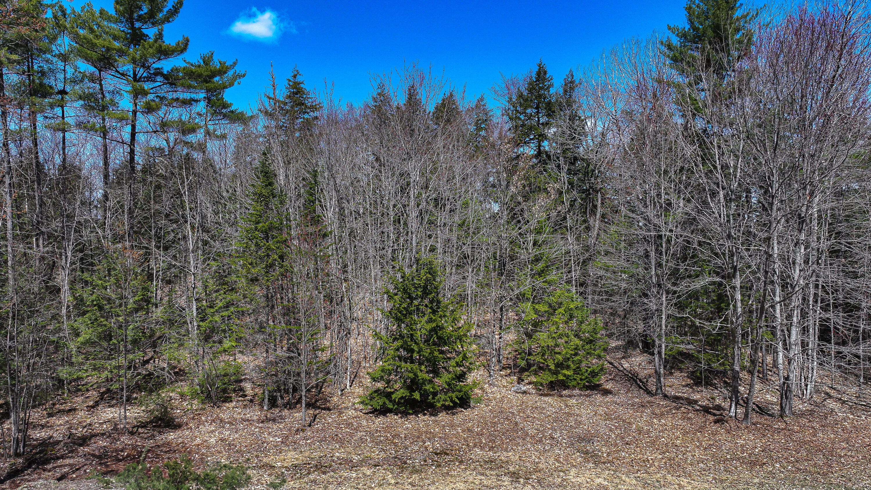 169 S Bridgton Road Bridgton ME 04009