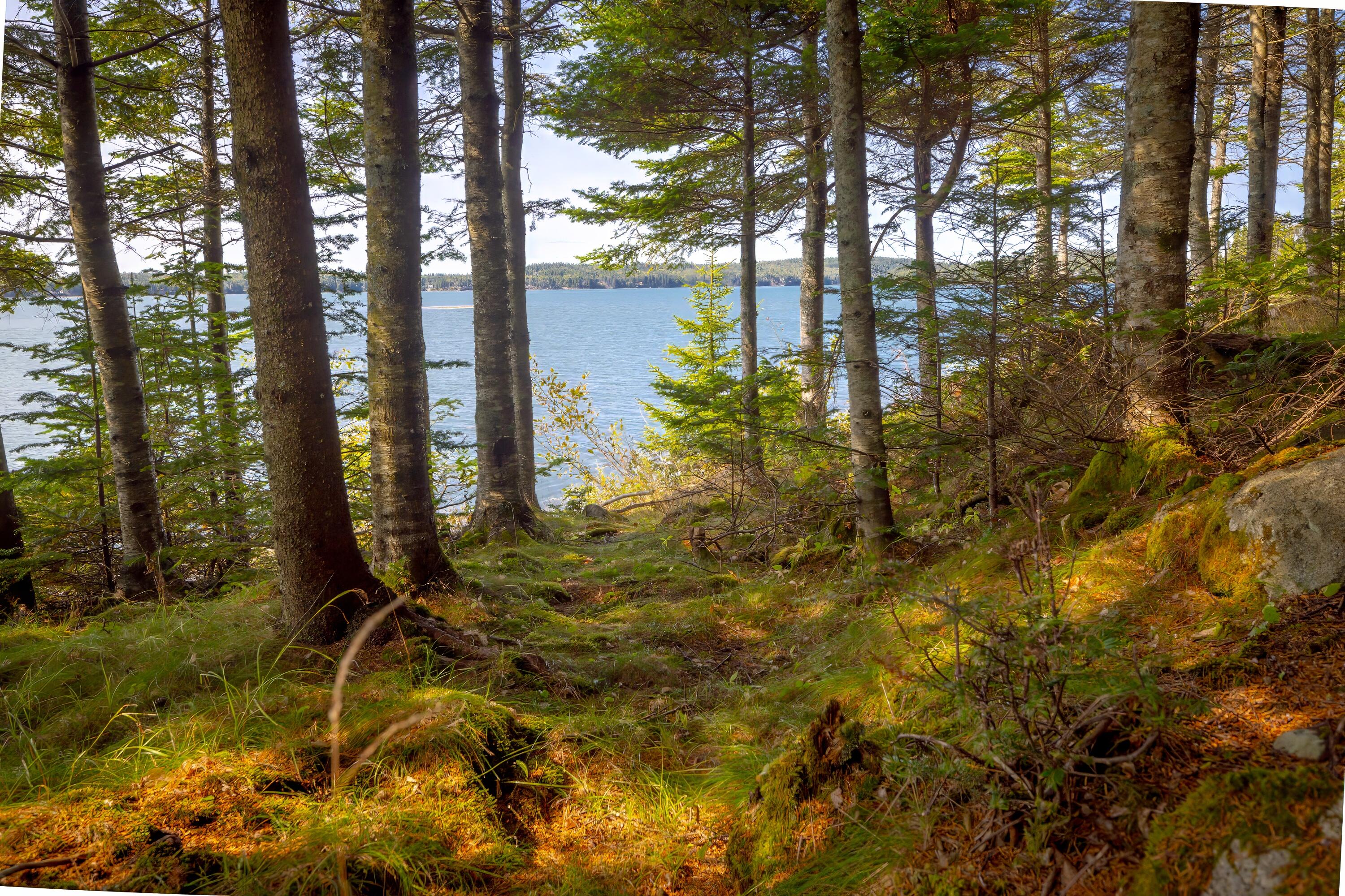 525 Yoho Head Road Machiasport ME 04655