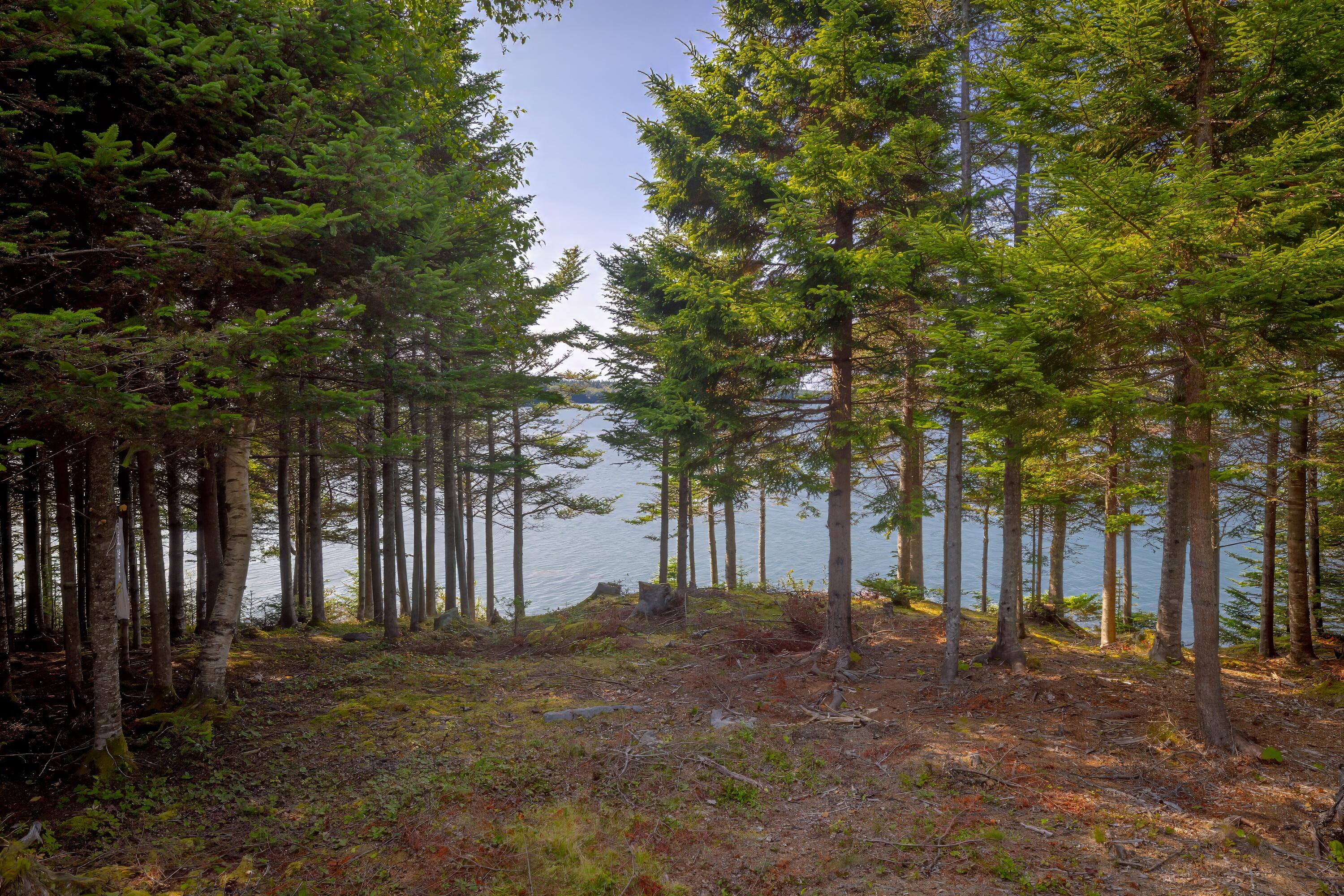 525 Yoho Head Road Machiasport ME 04655