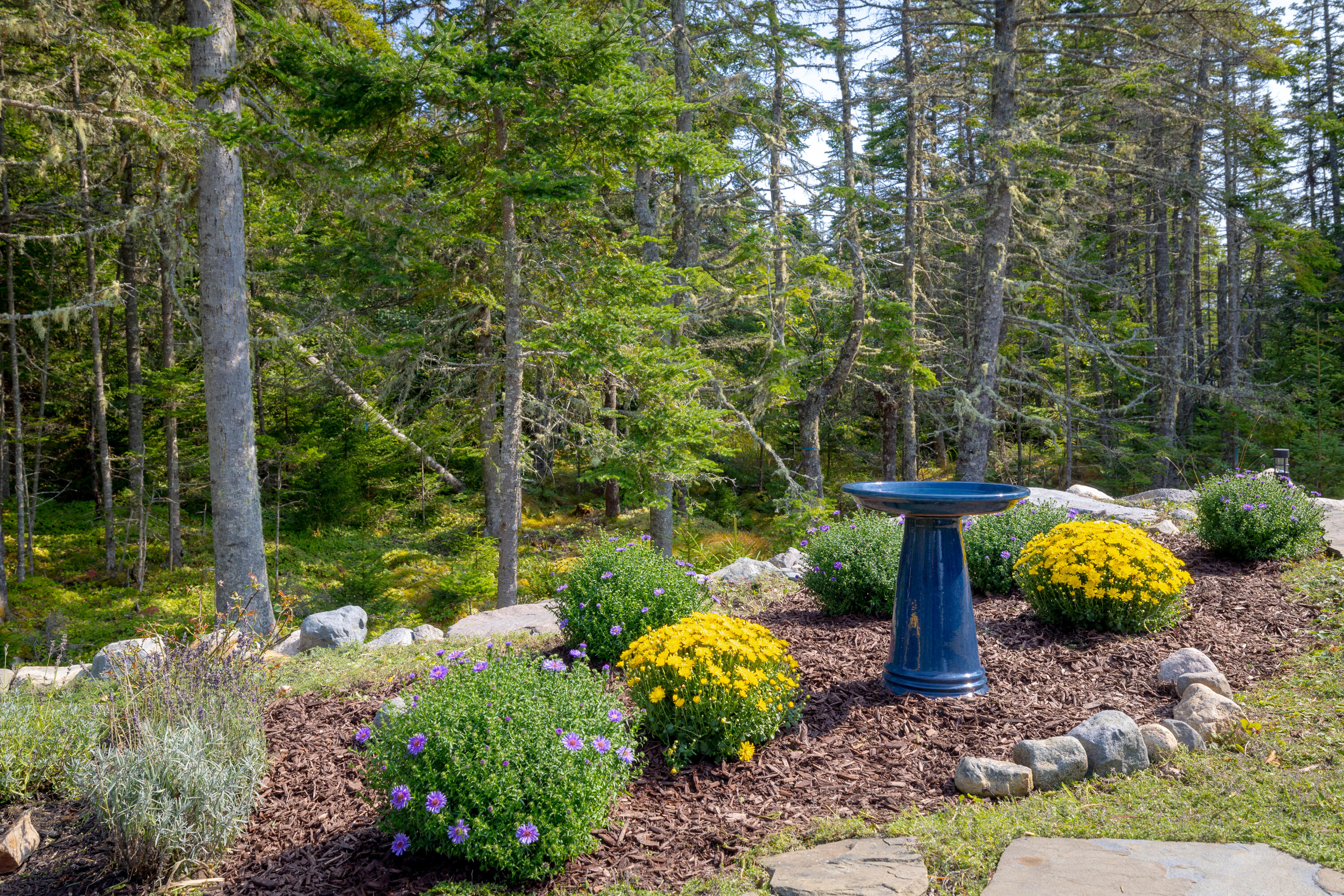 525 Yoho Head Road Machiasport ME 04655