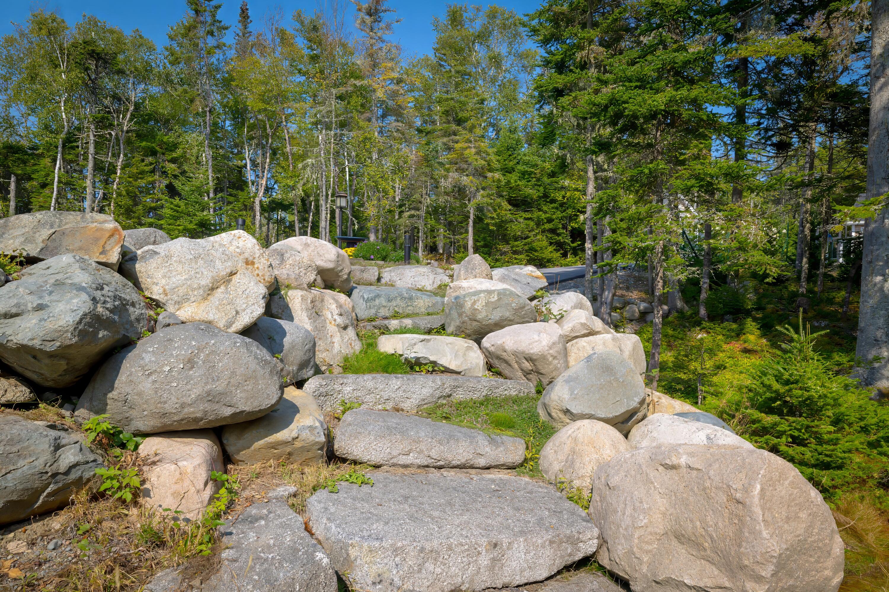 525 Yoho Head Road Machiasport ME 04655