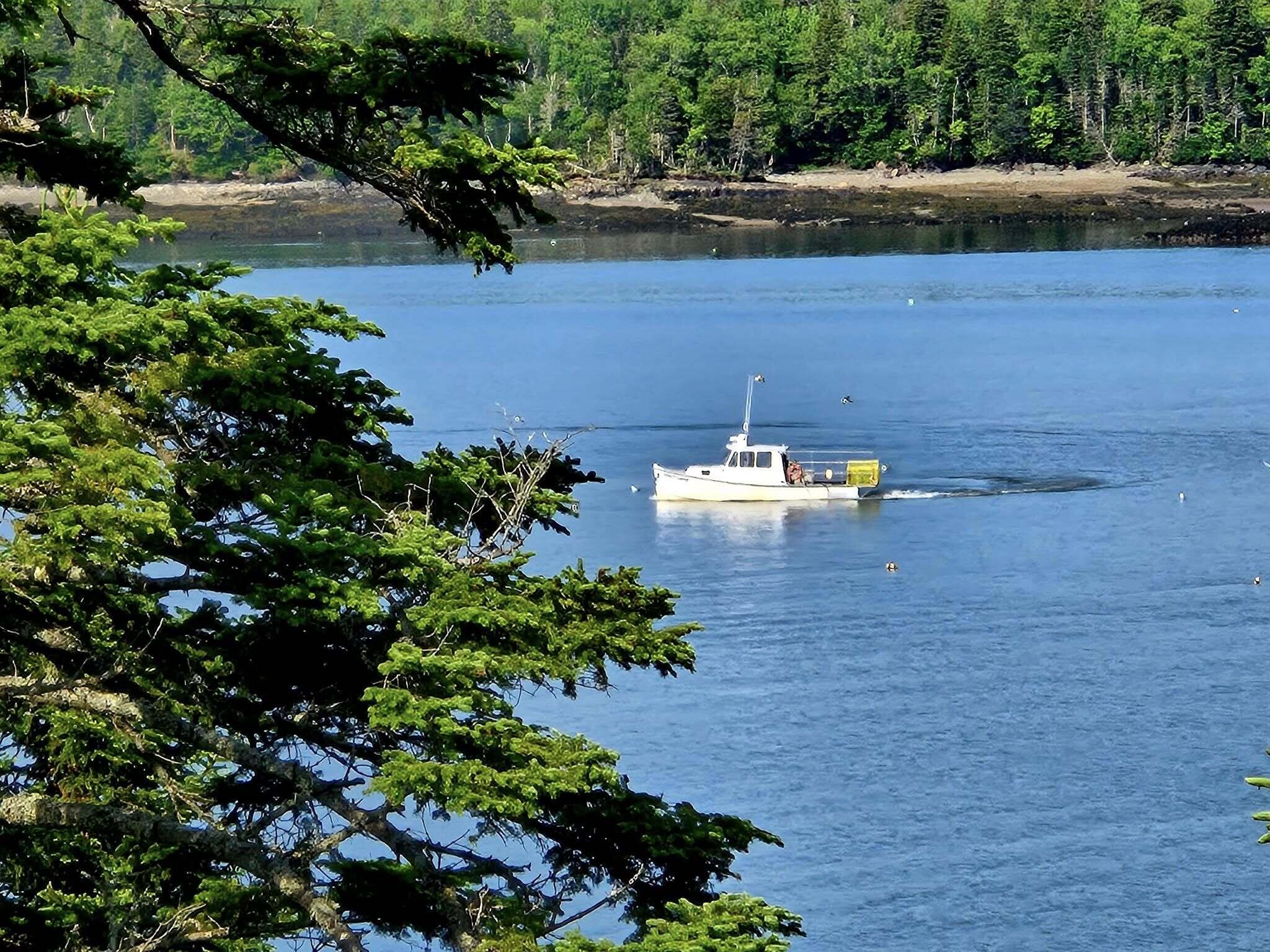 525 Yoho Head Road Machiasport ME 04655