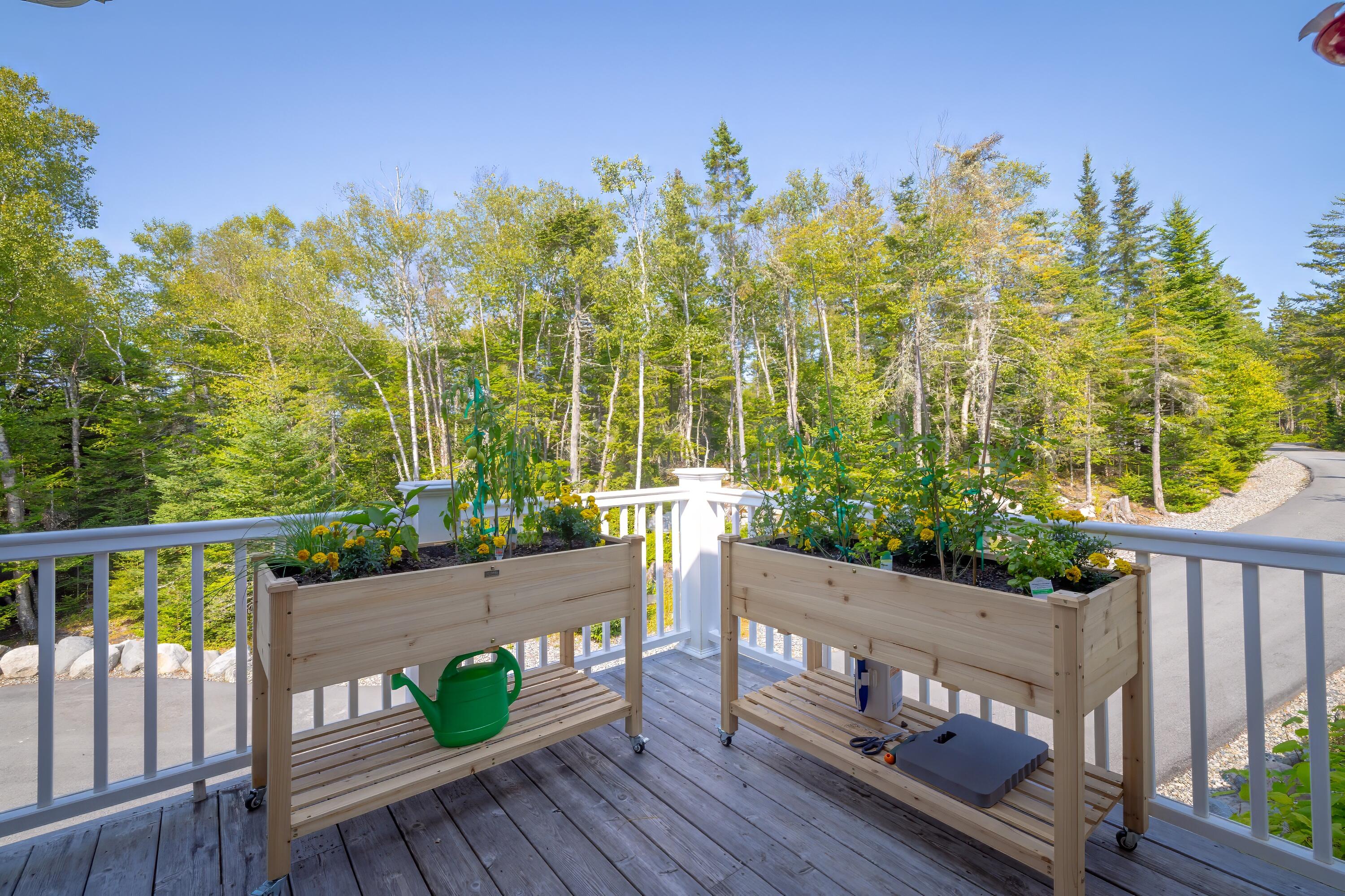 525 Yoho Head Road Machiasport ME 04655