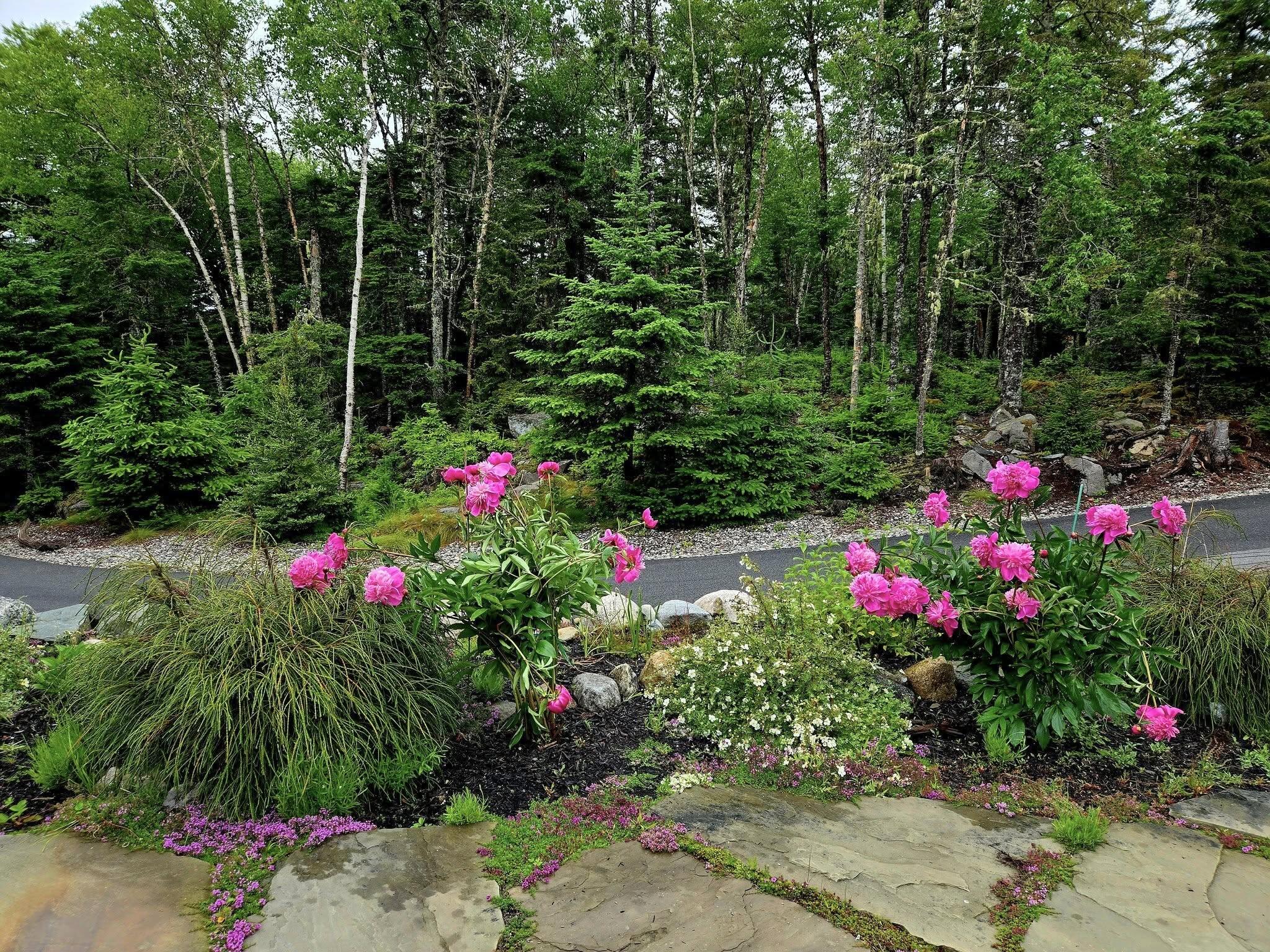 525 Yoho Head Road Machiasport ME 04655