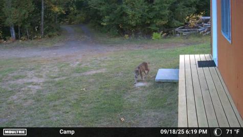 846 Notch Road Skowhegan ME 04976