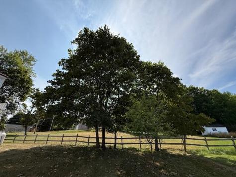 19 Gardner Avenue Machias ME 04654