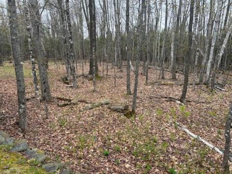 560 Steadmans Landing Road Dover-foxcroft ME 04426