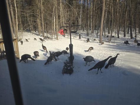 79 Lancaster Road Pittston ME 04345