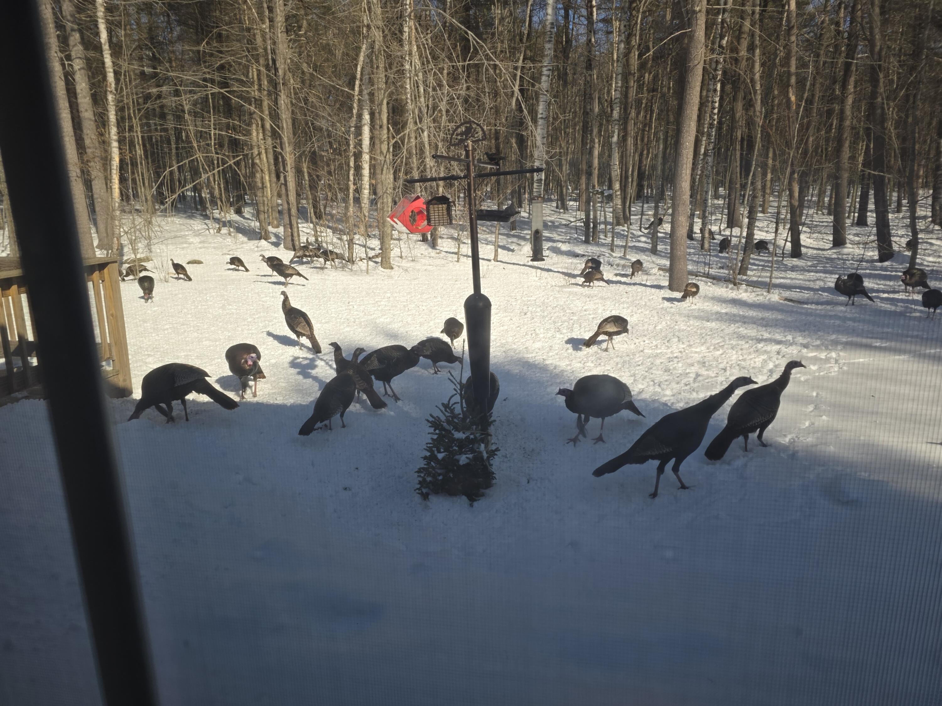 79 Lancaster Road Pittston ME 04345