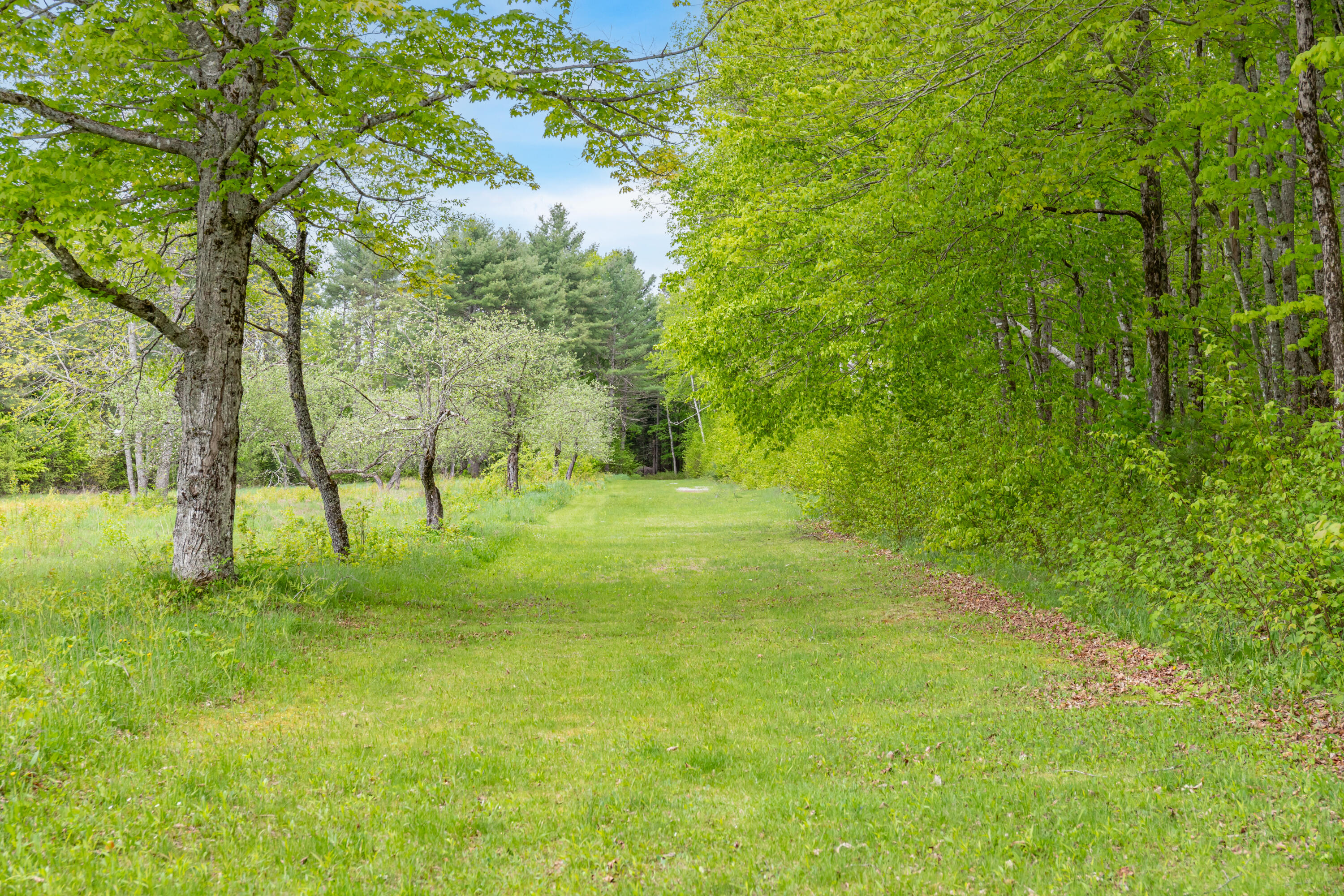 303 Williams Road Bradford ME 04410