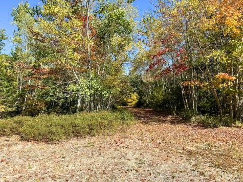 20 Bunker Hill Drive Gouldsboro ME 04655