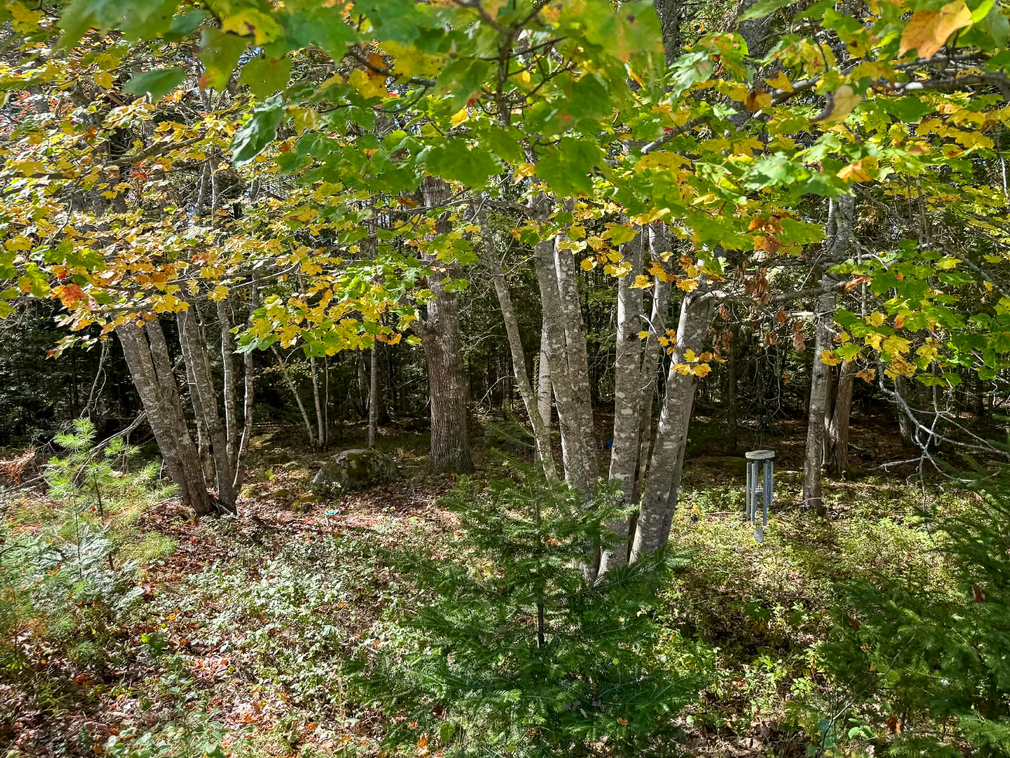 20 Bunker Hill Drive Gouldsboro ME 04655