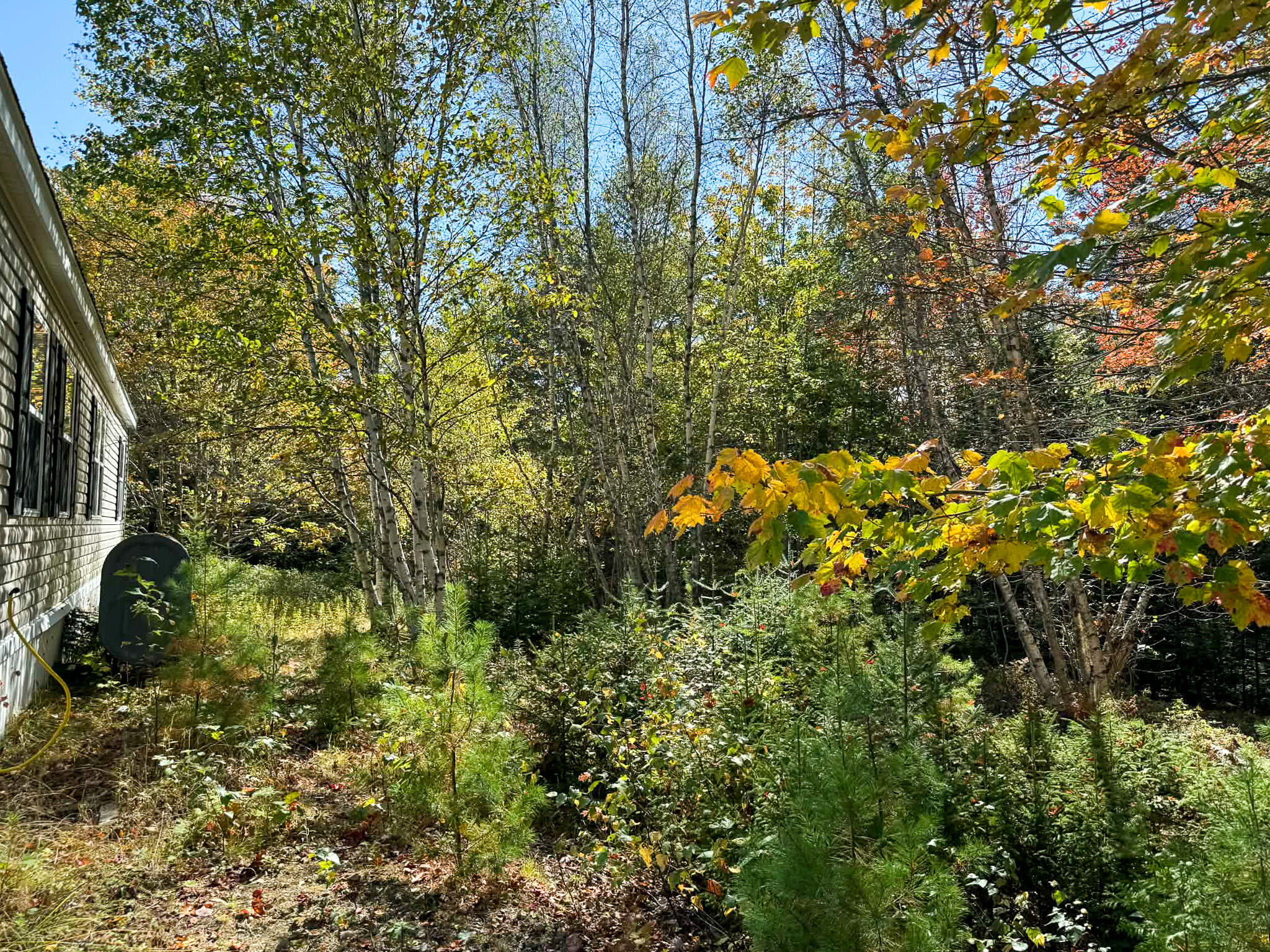 20 Bunker Hill Drive Gouldsboro ME 04655