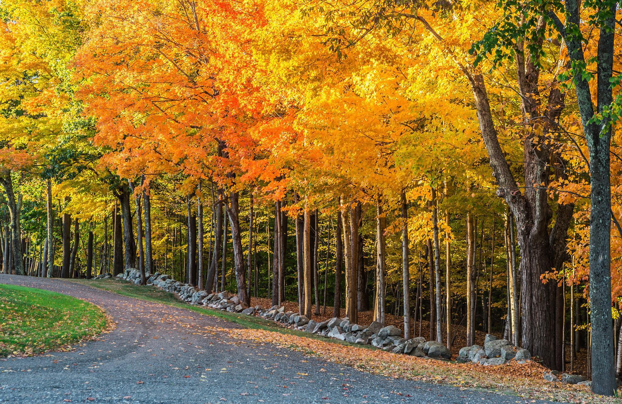 284 Allen Road Pownal ME 04069