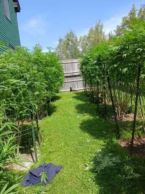 130 Farmers Hill Road Andover ME 04216