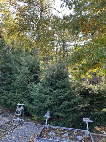 602 Spragues Falls Road Cherryfield ME 04622