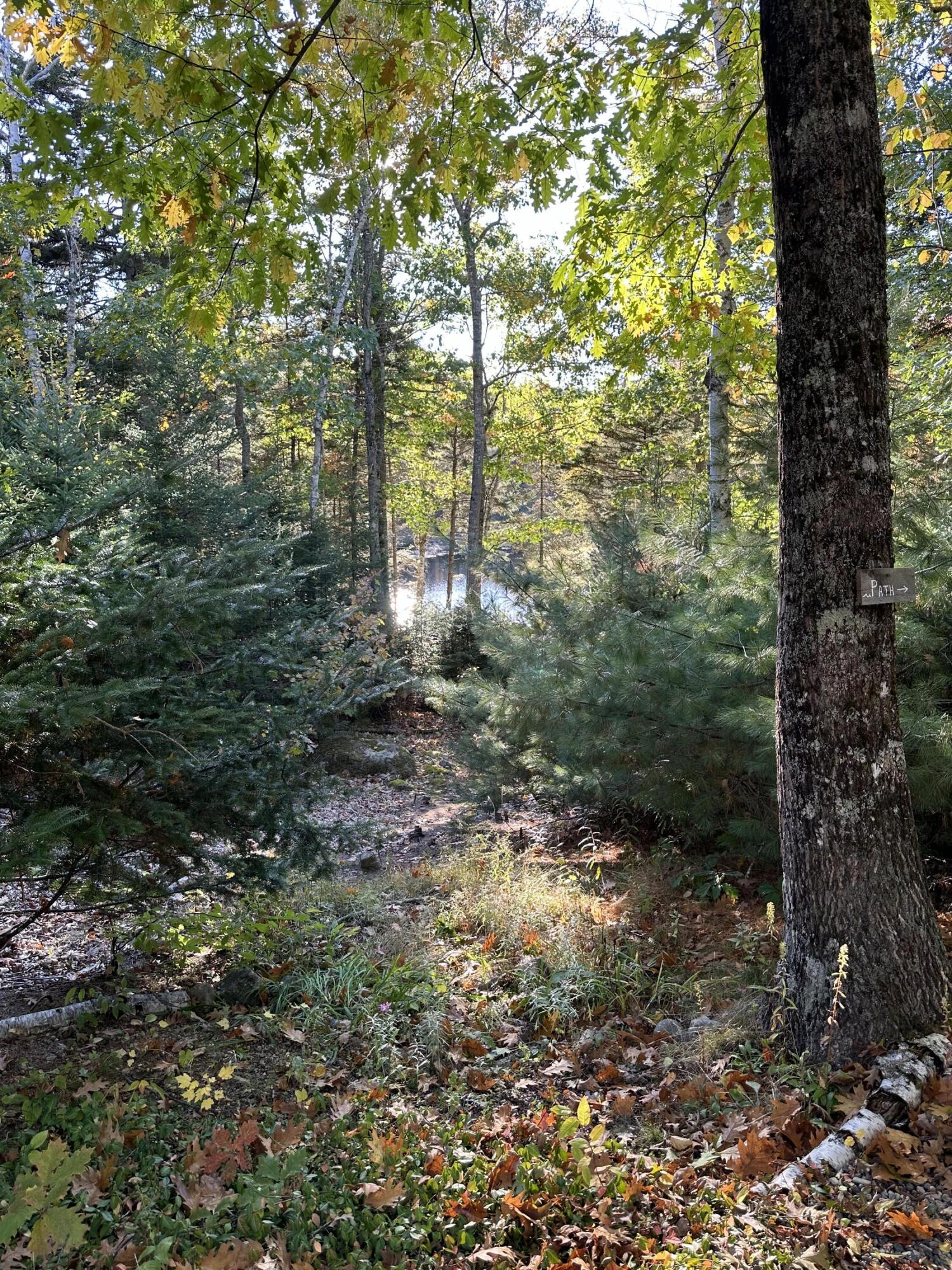 602 Spragues Falls Road Cherryfield ME 04622