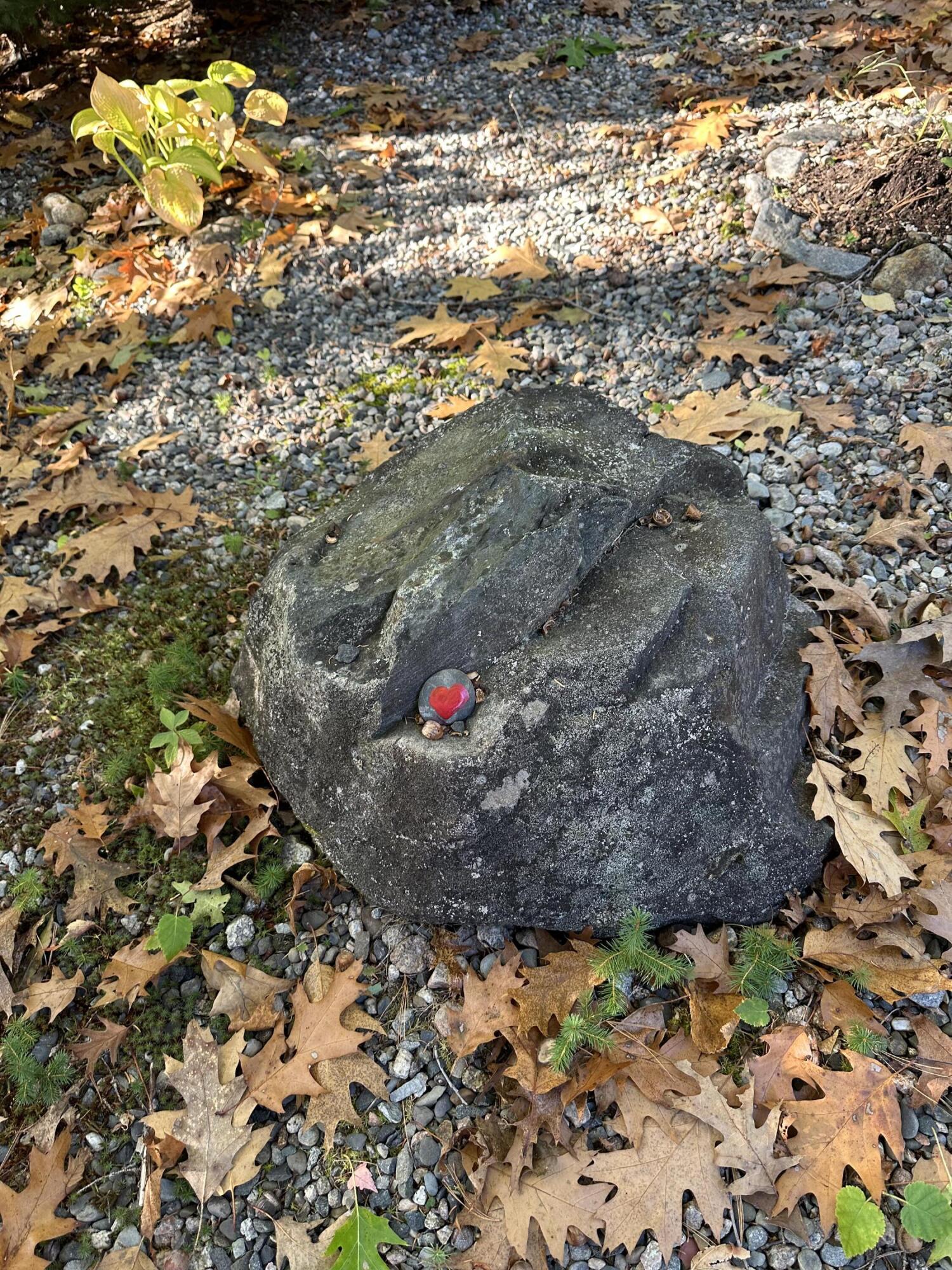 602 Spragues Falls Road Cherryfield ME 04622