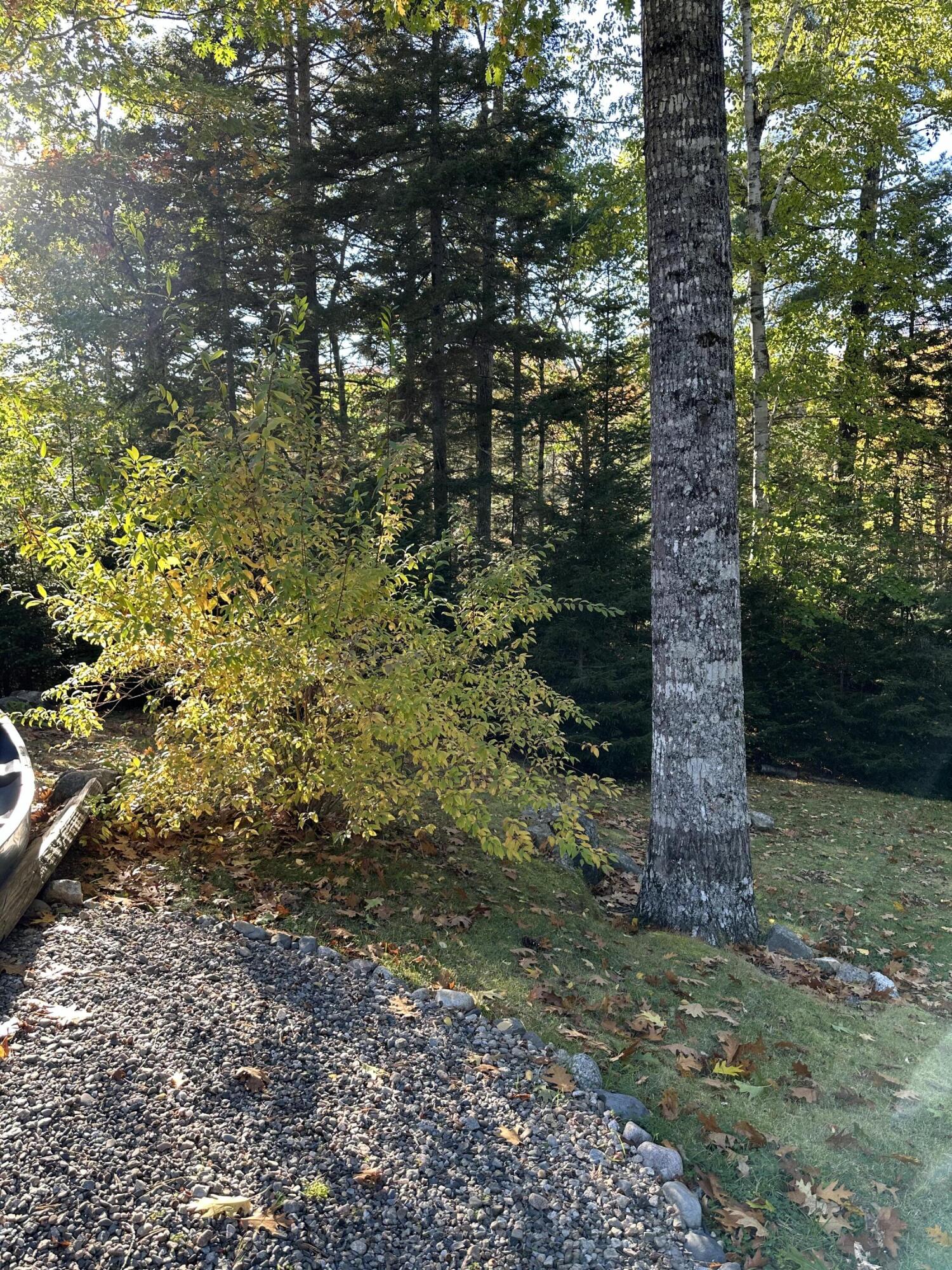 602 Spragues Falls Road Cherryfield ME 04622