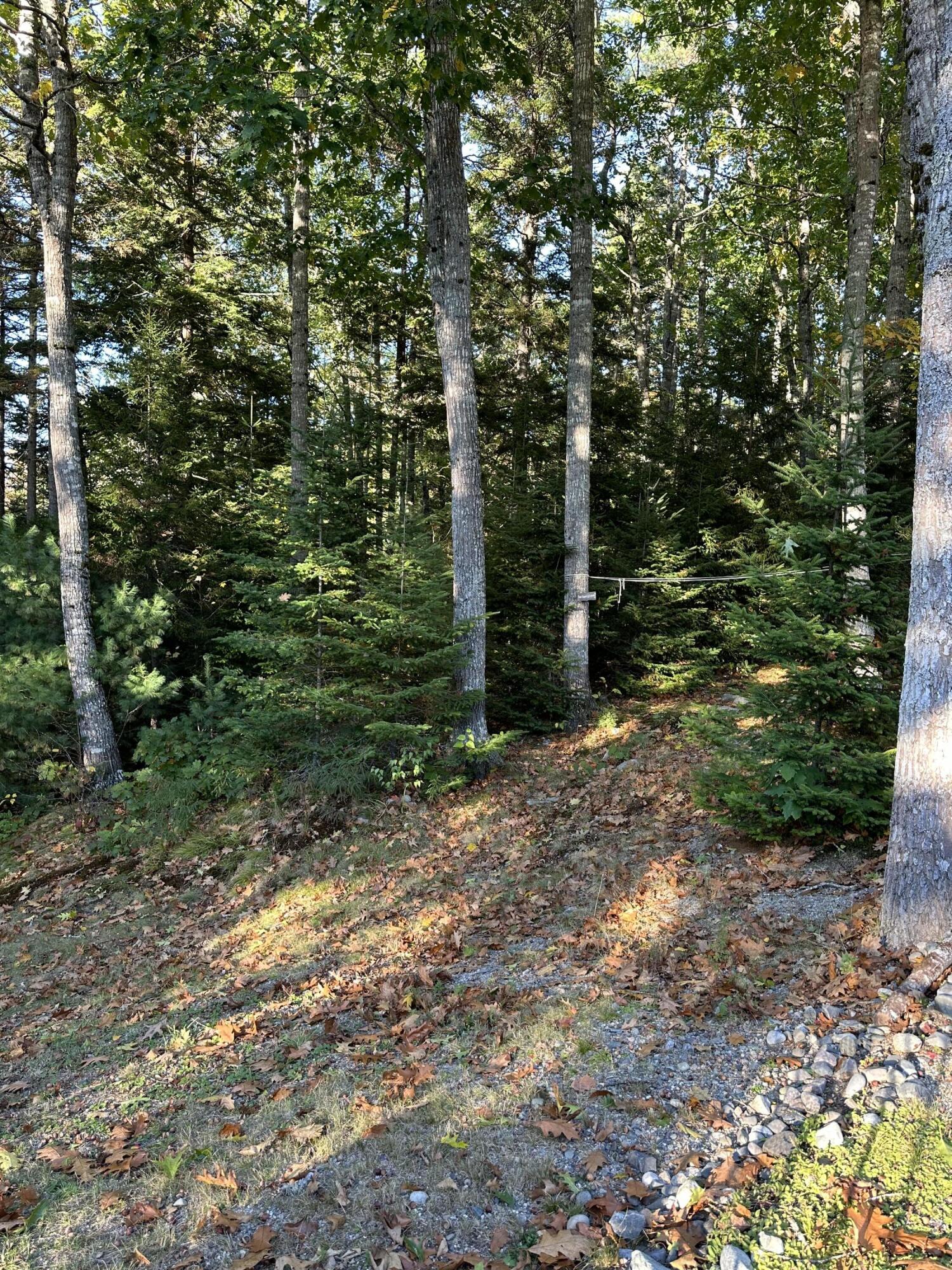 602 Spragues Falls Road Cherryfield ME 04622