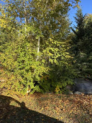 602 Spragues Falls Road Cherryfield ME 04622