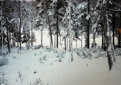 602 Spragues Falls Road Cherryfield ME 04622