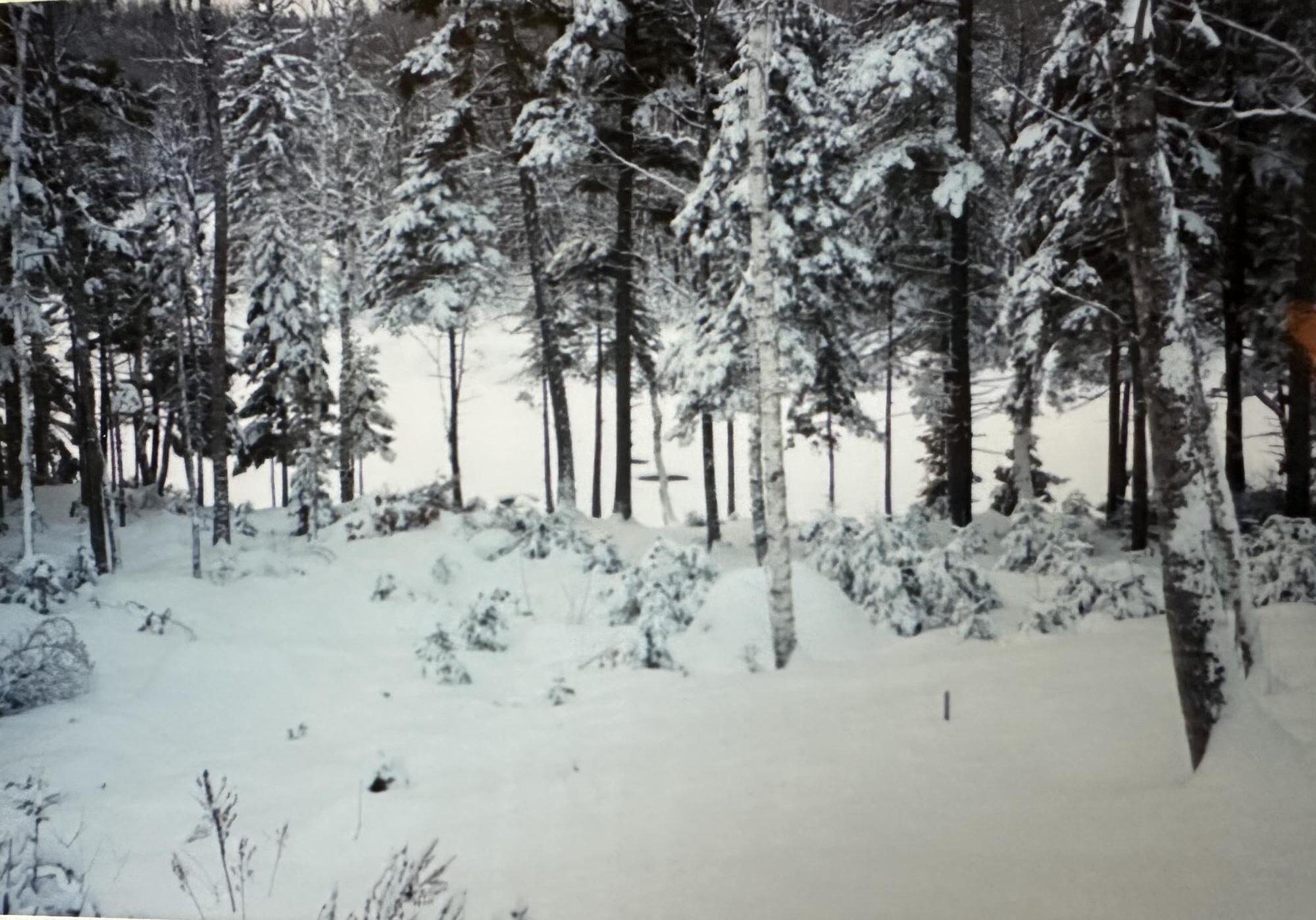 602 Spragues Falls Road Cherryfield ME 04622