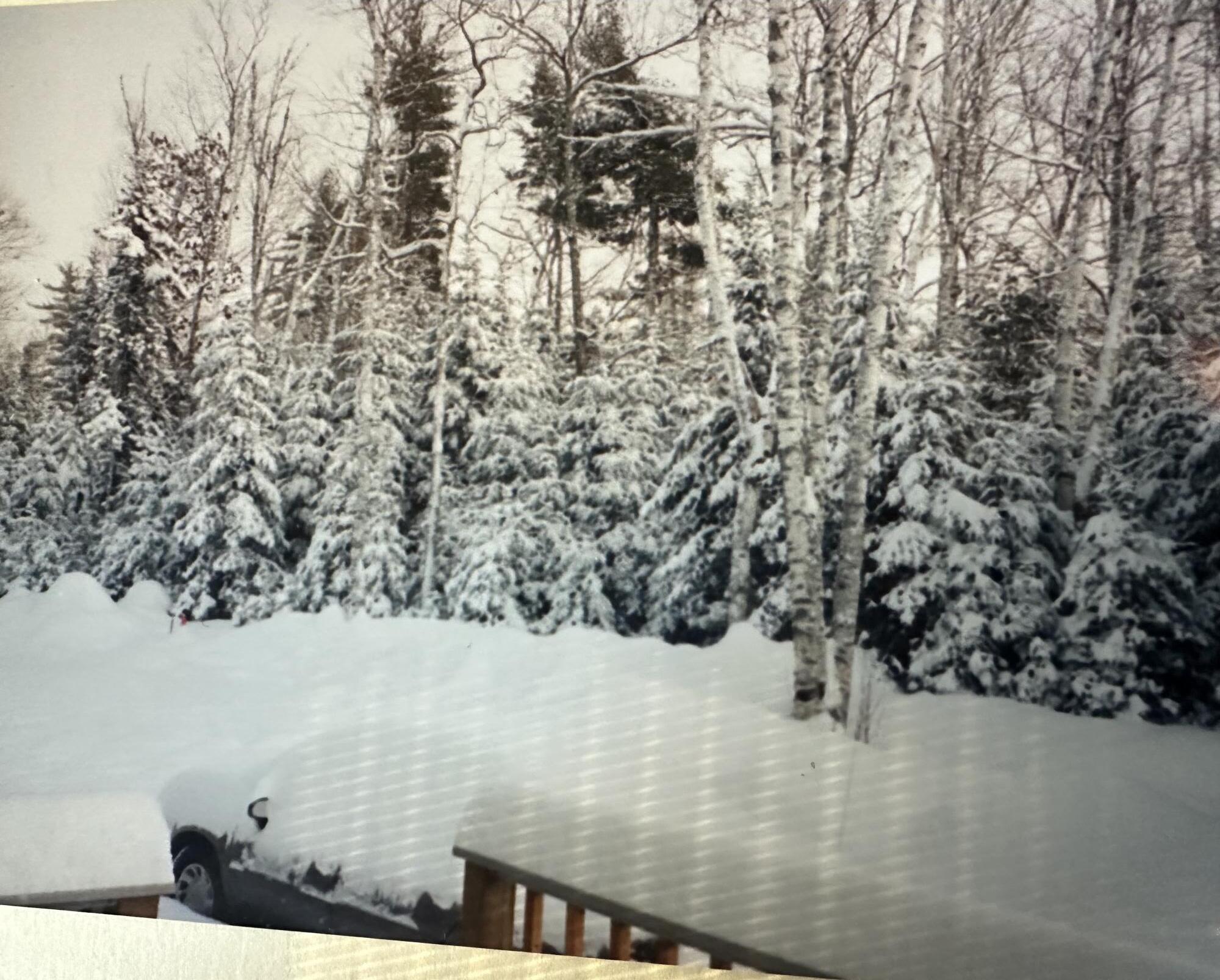 602 Spragues Falls Road Cherryfield ME 04622