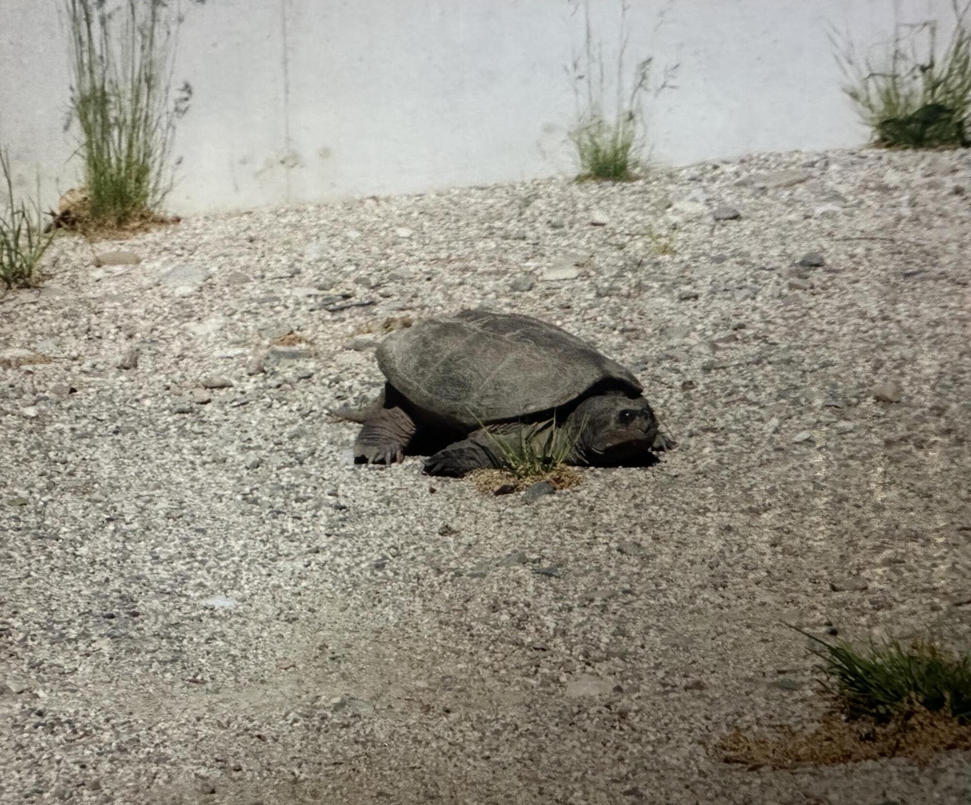 602 Spragues Falls Road Cherryfield ME 04622