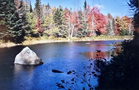 602 Spragues Falls Road Cherryfield ME 04622