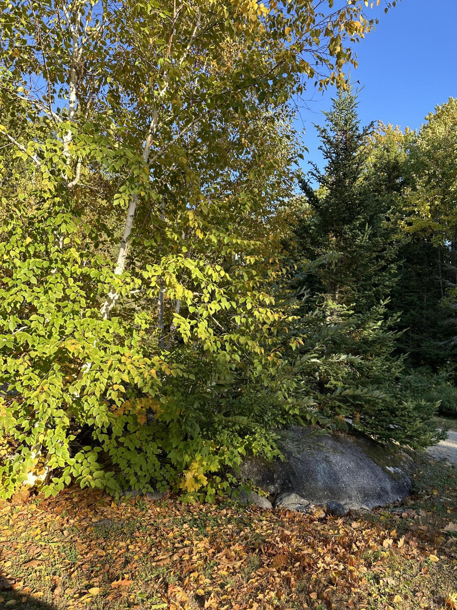 602 Spragues Falls Road Cherryfield ME 04622