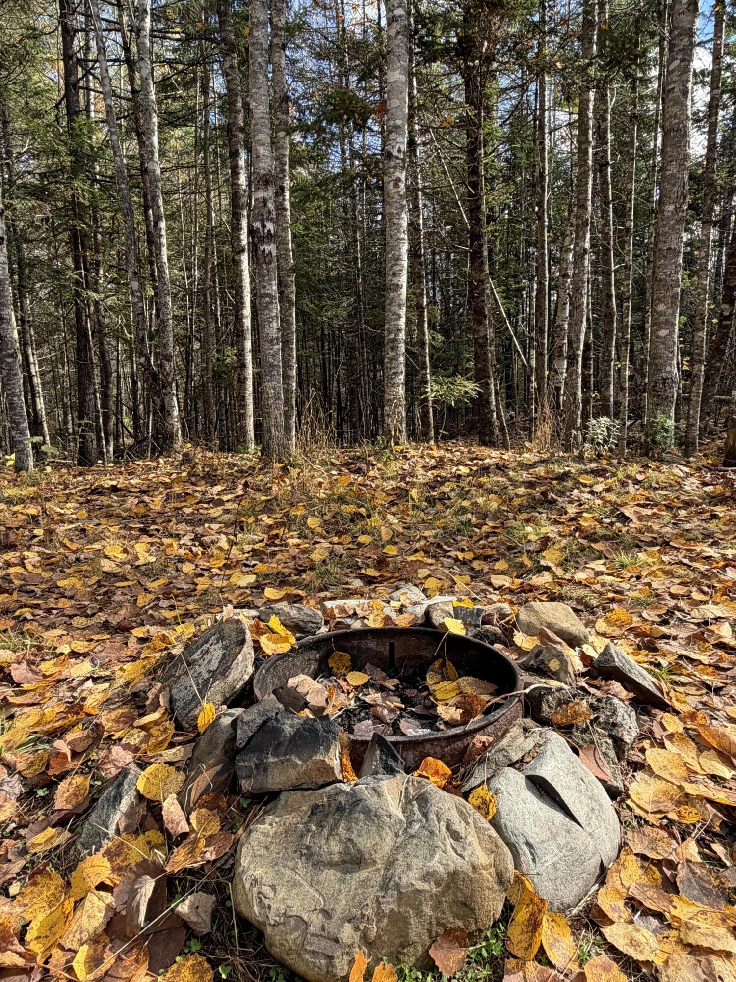 76 Wolf Run Trail Greenbush ME 04418