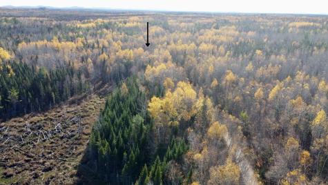 76 Wolf Run Trail Greenbush ME 04418