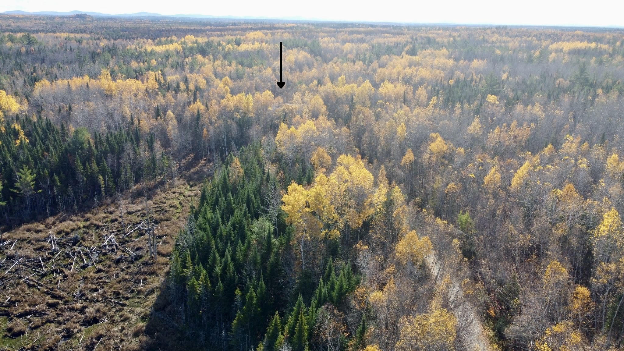 76 Wolf Run Trail Greenbush ME 04418