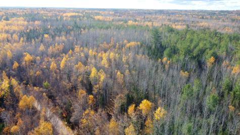 76 Wolf Run Trail Greenbush ME 04418