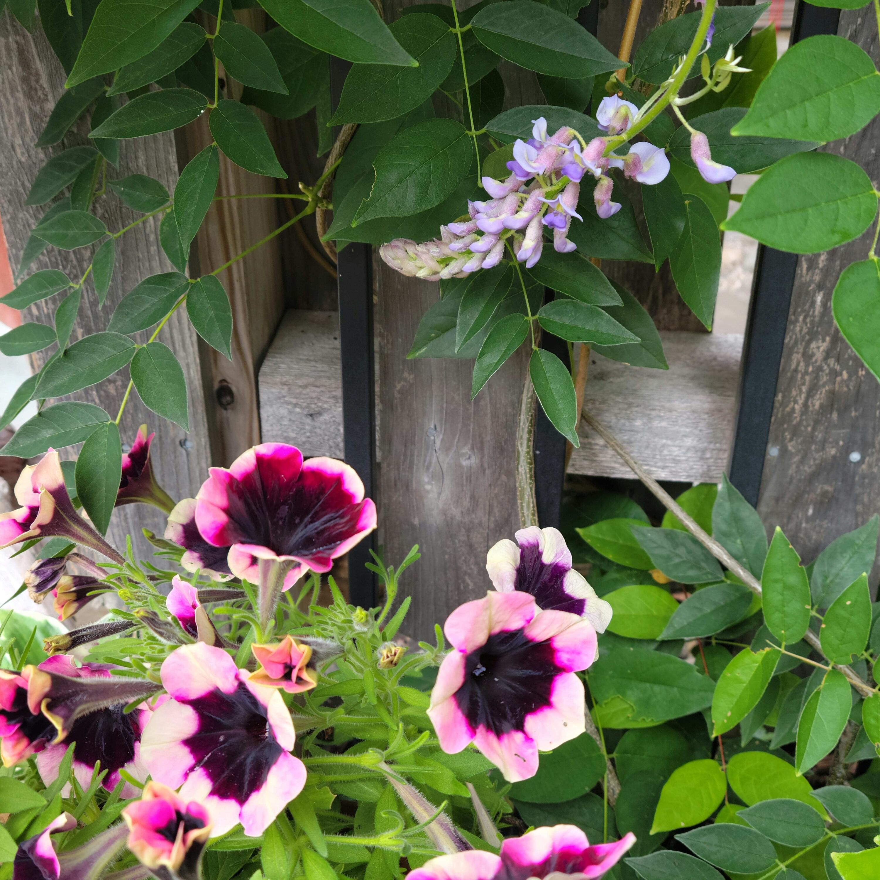 9 James Street Belfast ME 04915